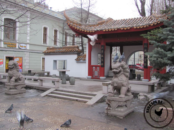 Китайский Сад дружбы, Санкт-Петербург