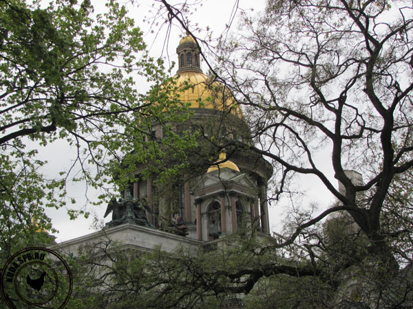 Купол Исаакиевского собора в Петербурге