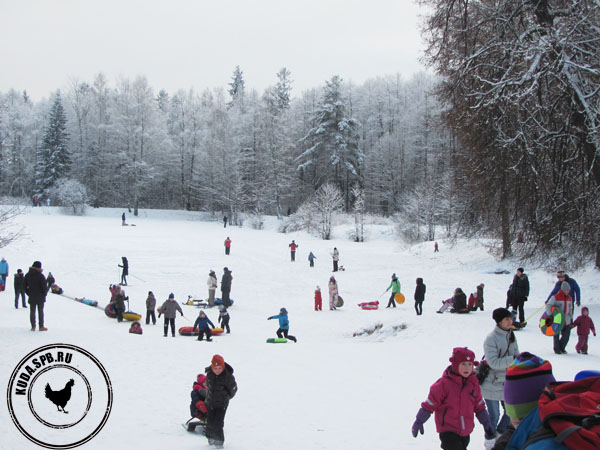 Дети зимой в Шуваловском парке