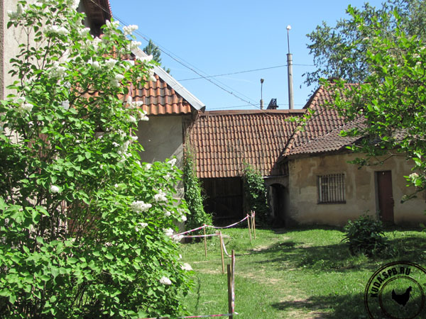 Гатчина, Дом-усадьба Щербова, фото